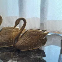 قو جا دستمال کاغذی برنجه