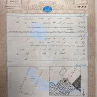 صفی اباد جلدک چاهشک خریداریم