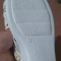 کفش|کیف، کفش، کمربند|ارومیه, |دیوار