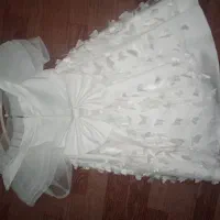 لباس مجلسی دخترانه|لباس|تبریز, |دیوار