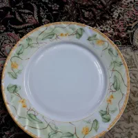 آرکوپال مارک  چینی بال خارجی یک عدد میوه خوری