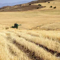 12000متر زمین دیم سمت الشتر برای اجاره