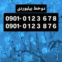 8  7  6   3  2  1  0 - 0901  فروش دو خط طلایی
