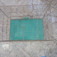 قفس بزرگ برای مرغ عشق و فنج هر نوع پرنده ای|لوازم جانبی حیوانات|کرمانشاه, |دیوار