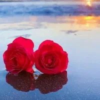 خدمات کامپیوتری و رایانه