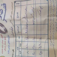 طلا|جواهرات|قوچان, |دیوار