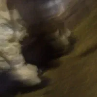 بره نر گیج واسه قربانی