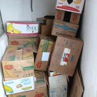 فروش فوری کارتن