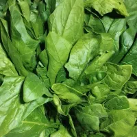 سبزی خورشی و اسفناج میدان بسیج ساعت 4