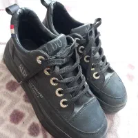 کفش اسپرت ومجلسی