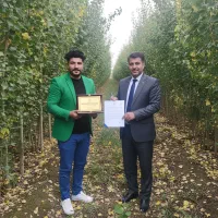 نــهال صنــوبـر سریع‌الرشد با اشانتیون فقط امروز