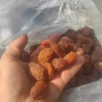 الو بخارا ارگانیک|عمدهفروشی|بوانات, |دیوار