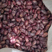 فروش انواع حبوبات درجه یک وباکیفیت