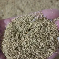 پودر بابونه شیرازی