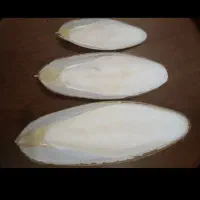 کف دریا|لوازم جانبی حیوانات|تهران, مولوی|دیوار