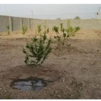 مشارکت در ساخت