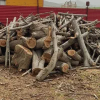 خرید انواع چوب و ضایعات