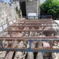 تختخواب|تخت و سرویس خواب|کوه چنار, |دیوار