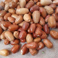 سنجد حاج حسین .قیمت ۴۰۰|خوردنی و آشامیدنی|گوگان, |دیوار