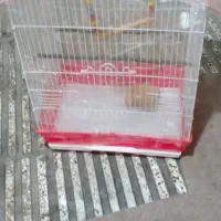 قفس پرنده  جا دار و بزرگ