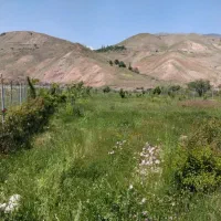 باغ باغچه زمین شهرک طالقان جزن