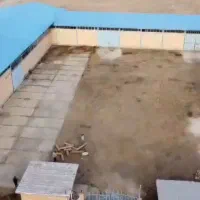 فروش-سوله-صنعتی-شیمیایی