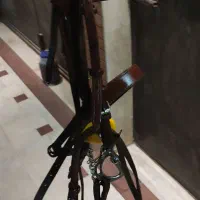 زین اسب|اسب و تجهیزات اسبسواری|کاشان, دانش|دیوار