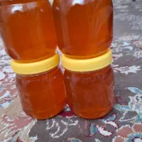 عسل کندو پلدختر