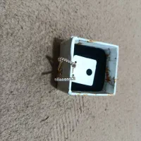 گوشواره بدل|بدلیجات|سیرجان, |دیوار