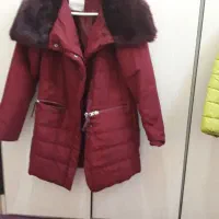 پالتو و کاپشن|لباس|ابریشم, |دیوار