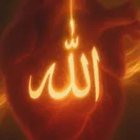 جاکارتی با کارت ملی و کارت بانکی گم کردم