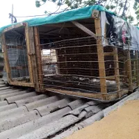 قفس چوبی پرنده