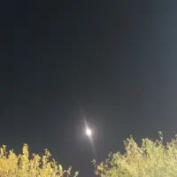 راهنمای زوج های عزیز