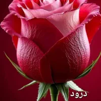 سیم کارت ۰۹۱۲