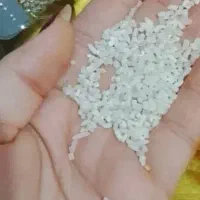 برنج عنبر بو 1650