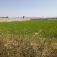 زمین باغ شهری|فروش دفتر صنعتی، کشاورزی، تجاری|شیراز, بید زرد|دیوار