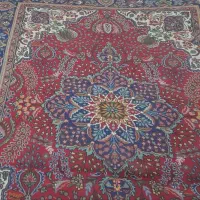 فرش دستبافت|فرش|میاندوآب, |دیوار