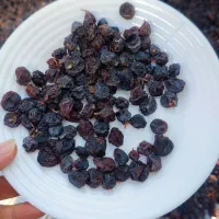 مویز بش قرمز و سیاه نوبرانه