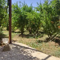 80جریب زمین کشاورزی واقع در دهاقان|فروش دفتر صنعتی، کشاورزی، تجاری|دهاقان, |دیوار