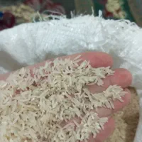 برنج‌فجر‌سوزنی‌90روزه