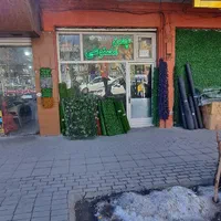 اجرای چمن مصنوعی در باغ و ویلا|خدمات باغبانی و درختکاری|تبریز, |دیوار