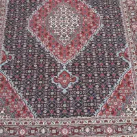 فرش|فرش|اردبیل, |دیوار