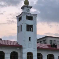 جذب روانشناس متبحر