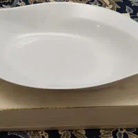 ظرف مرغ خوری و سالاد آکبند