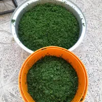 محصولات خانگی ریحان