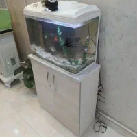 آکواریوم ماه ایران