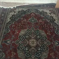 فرش|فرش|کرمانشاه, |دیوار