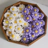 گل بابونه در رنگ های مختلف