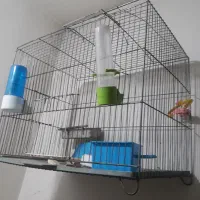 قفس|لوازم جانبی حیوانات|تهران, خاک سفید|دیوار