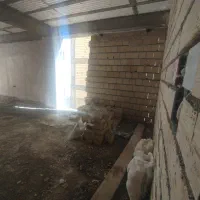 پیش فروش سوپر لوکس|پیشفروش املاک|محمدشهر, محمدشهر|دیوار